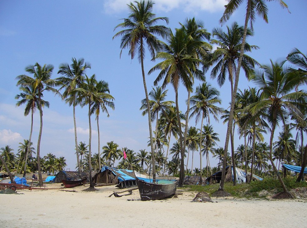 Discovering Goa: A Paradise of Culture, Nature, and Adventure