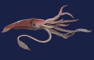 Inhabitant Creatures which lives in Deep Ocean below 13,123 Feets