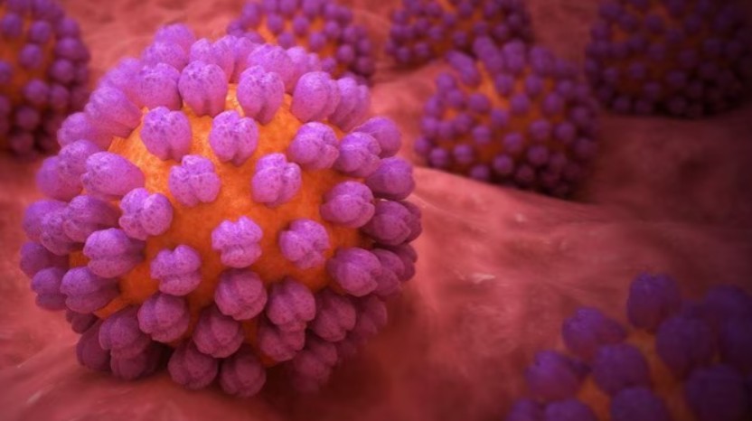 "Norovirus Outbreaks on the Rise Across the U.S., CDC Reports"