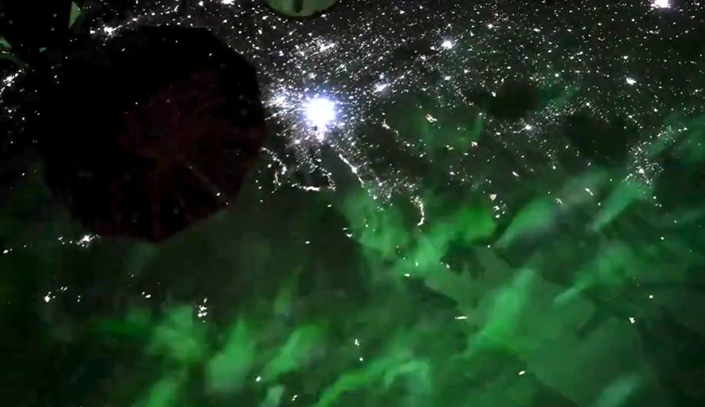 NASA astronaut Don Pettit shared video from International Space Station showcasing the radiant green auroras