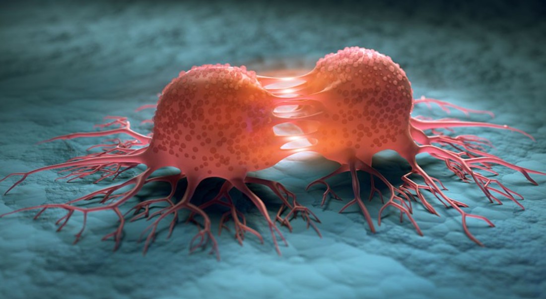 Understanding Cancer - Effects on the Body, Causes, and Treatment Approaches