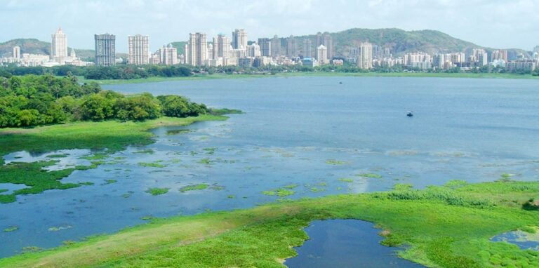 How Tulsi Lake and Powai Lake Saves Mumbai