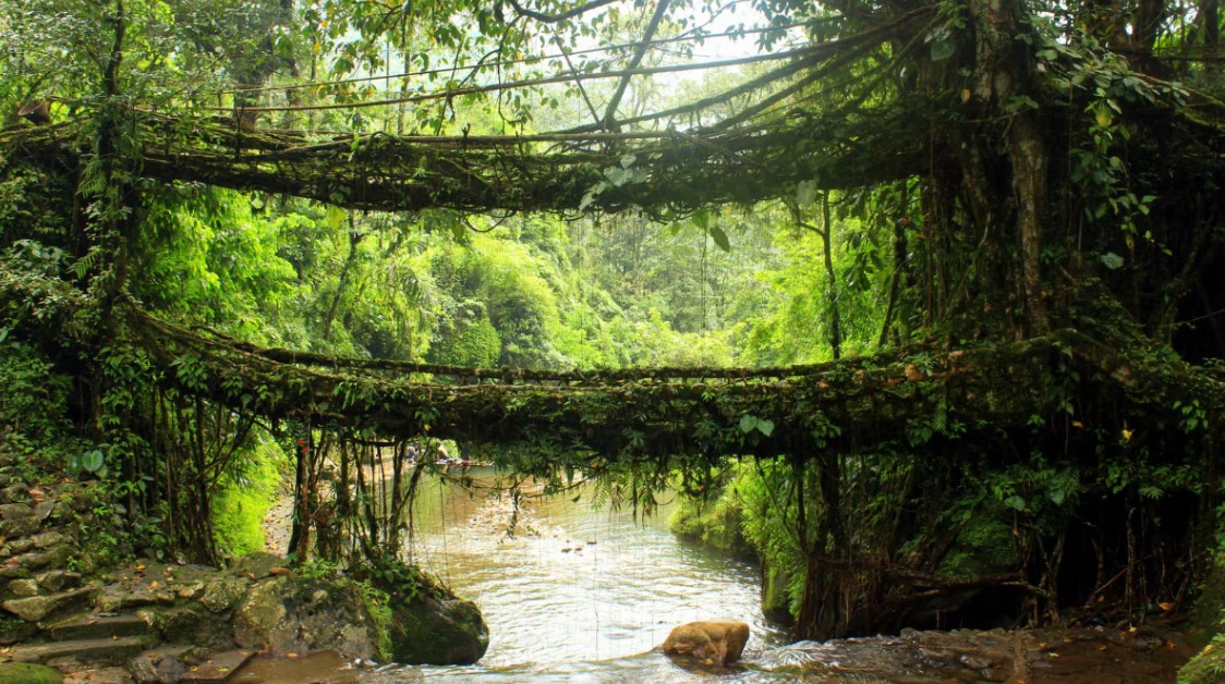 10 Hidden Gems in North-East India You Won’t Believe Exist
