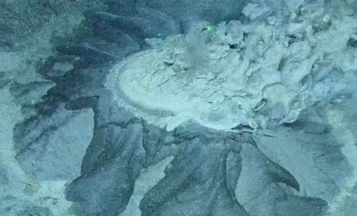 Arctic Ocean - Scientists Unveil a Hidden Deep-Sea Ecosystem Beneath the Arctic Ocean
